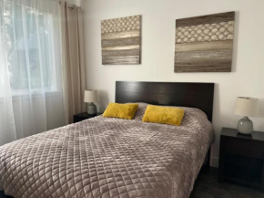 Holiday sale 10 min to SJC Close to Santana Row With Free Parking